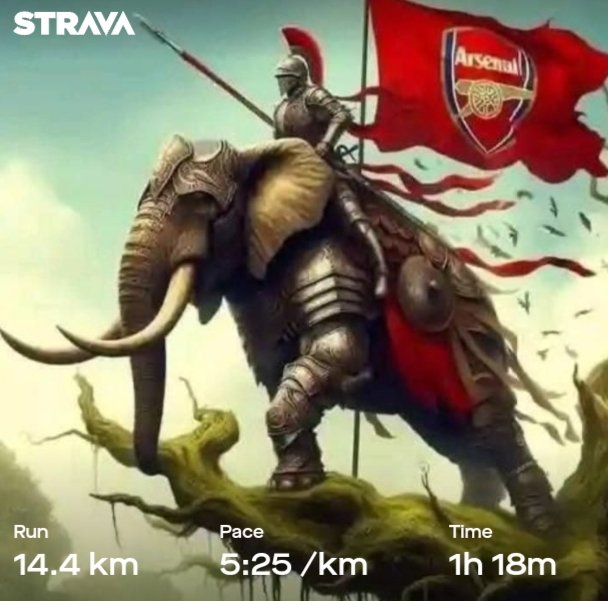 Mshishi6's tweet image. Phezukwabo Gunners 🤟

#FinishingStronger2023
#OwnPace #OwnRace