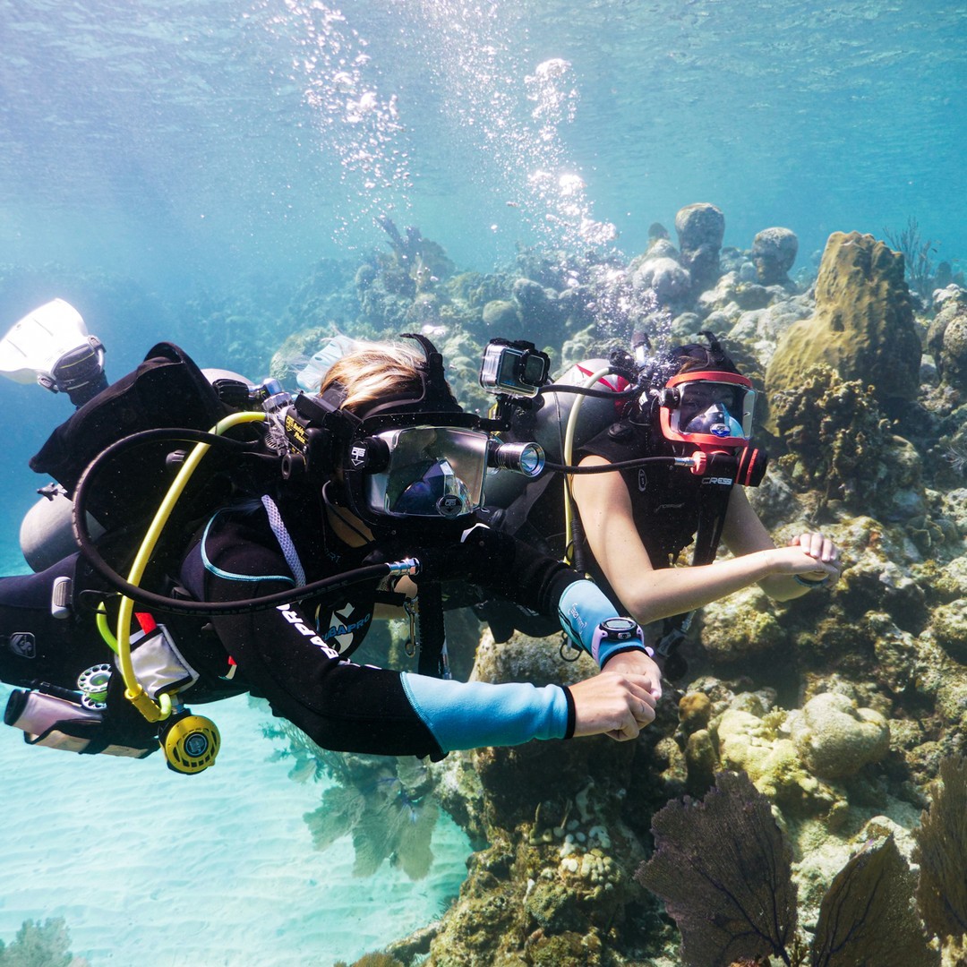scubadivingyard's tweet photo. How does having a diving buddy benefit you during your dives?

#underwateraudio #guardianfullfacemask #communications #fullfacemask #scuba #scubadiving #scubadiver #diving #diver #underwaterphotography https://t.co/NJZVe2mNZT