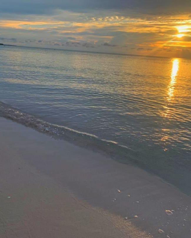 lessner70961198's tweet photo. Escápate a este paraíso en Cuba, Hotel Meliá Jardines del Rey 🫅 te espera este fin de año , tenemos vuelos diarios desde Canadá #HolaSun #Sunwing #AirCanadaVacations #Transat https://t.co/J1l6QUquTa #CubaUnica https://t.co/wPe6mCq0pG