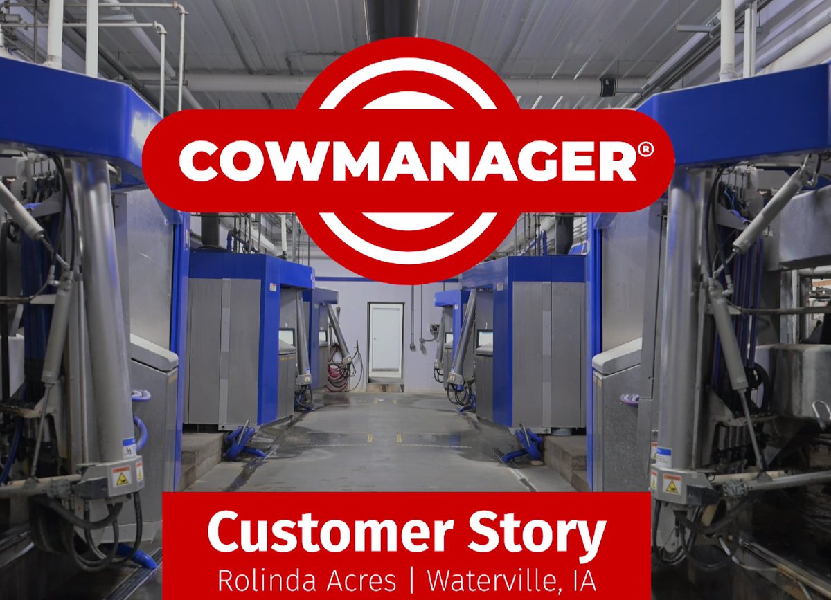 CowManager's tweet photo. Sam Schwartz is the #herdsman at Rolinda Acres, Iowa. They milk 700 cows on DeLaval robots, and the 200 in their double parlor. “The big pusher for us to go with #CowManager was moving away from collars to ear sensors.” Watch Sam’s story 👇
https://t.co/iQgqpaMx5A https://t.co/pke7z4DMpG