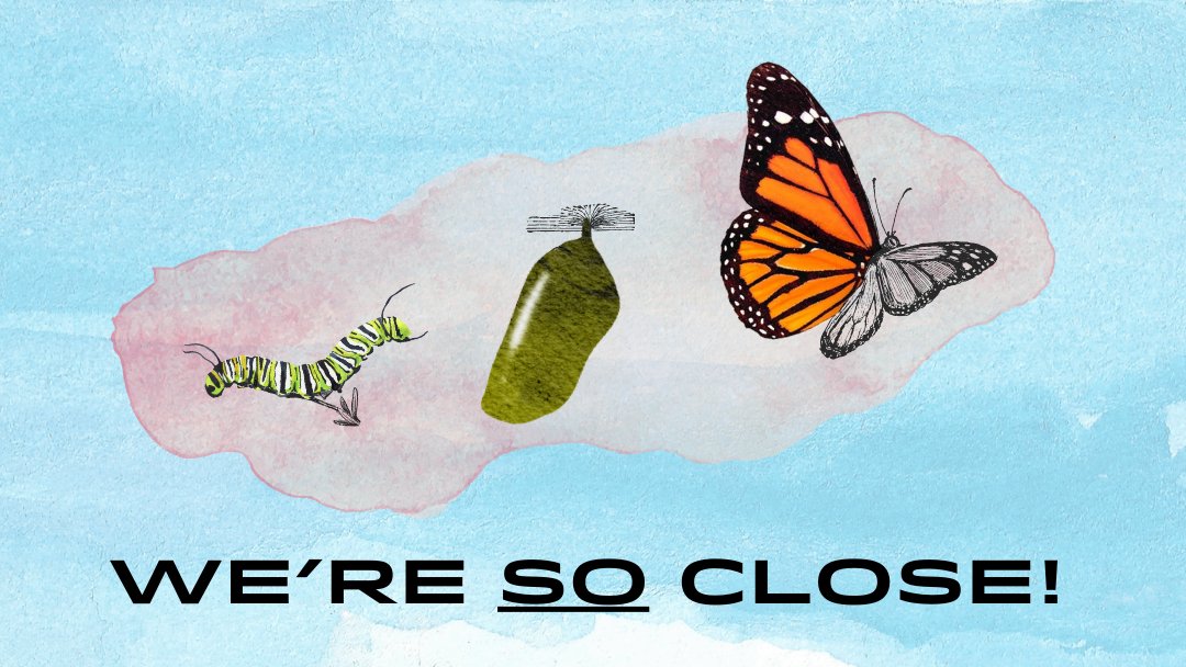 crowdedfire's tweet image. Emily is our Board President, and has been with us through so much since 2016. She shares her thoughts on Creation, Nourishment, Metamorphosis, and Emergence at Crowded Fire. 
⁠
Your contribution makes a huge difference here! crowdedfire.org  ⁠