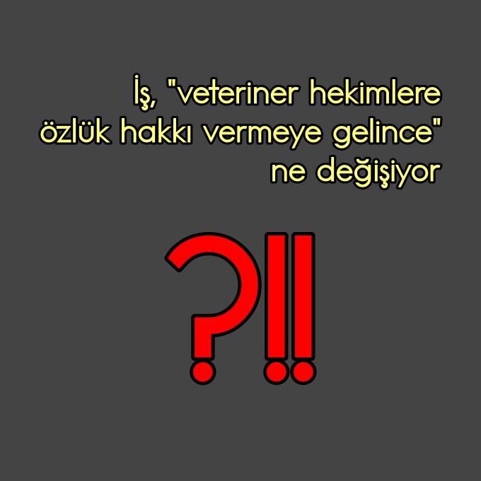 vetcetas's tweet photo. İş. "veteriner hekimlere özlük hakkı vermeye gelince" ne değişiyor? Neden hep unutuluyorlar? Bir türlü nedenini anlayamadık.

Dileriz bu defa öyle olmasın, bu kadim ve cefakar sağlık mesleğine sahip çıkılsın.

#VeterinerHekimTorbaYasaya https://t.co/XpNR2WJ25i