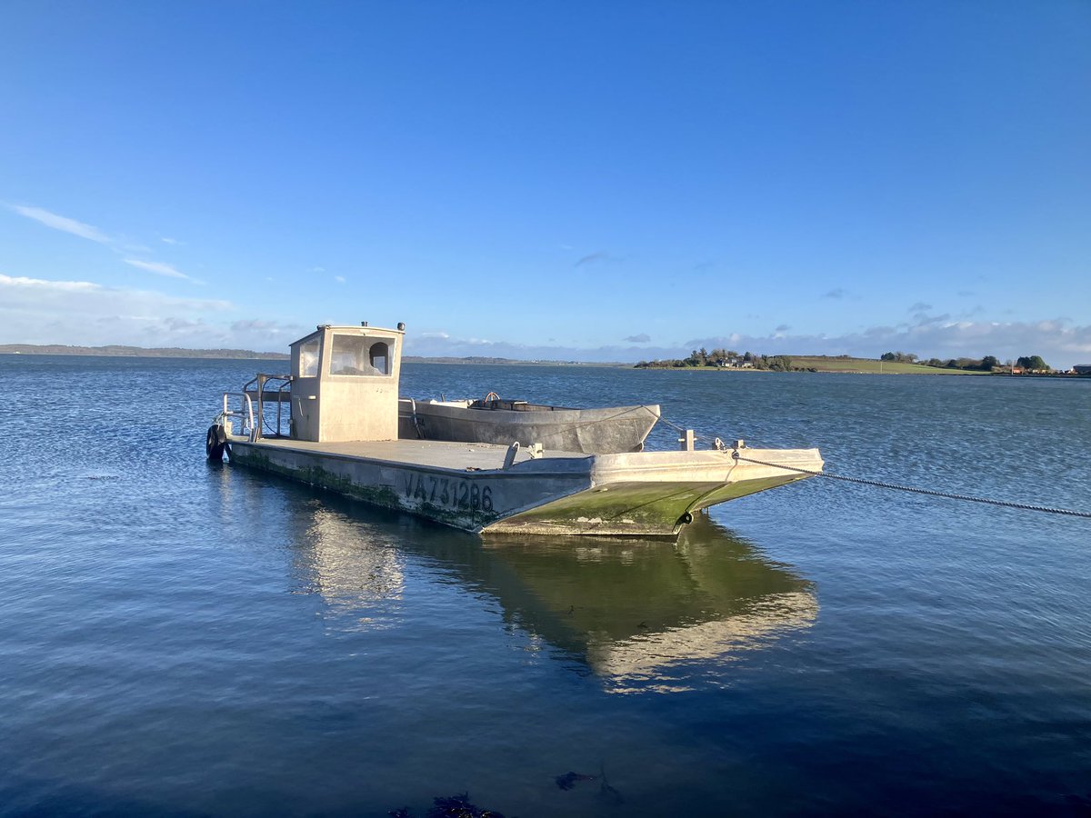 Tim Cooke tweet media