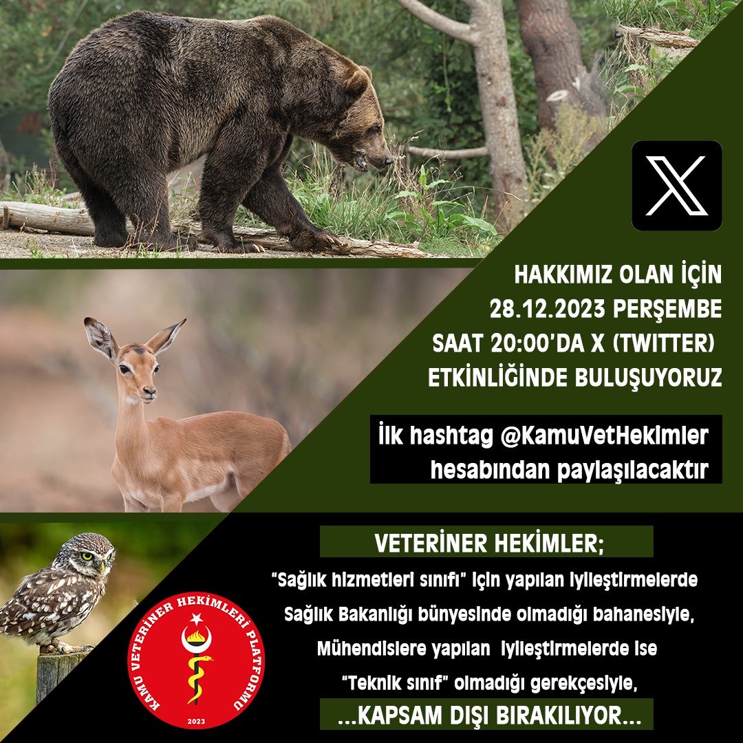 #VeterinerHekimTorbaYasaya