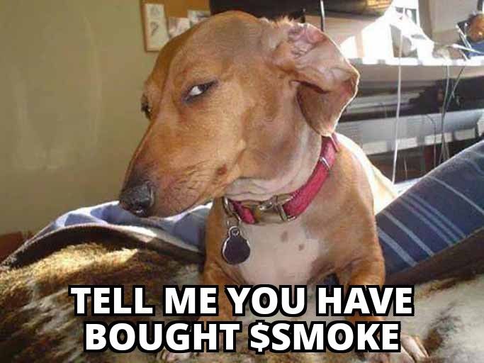 SmokingDogOnSol's tweet photo. When you tell your dog you hate $SMOKE
#SmokingDog #Solana $Sol https://t.co/sbizaLdmiS