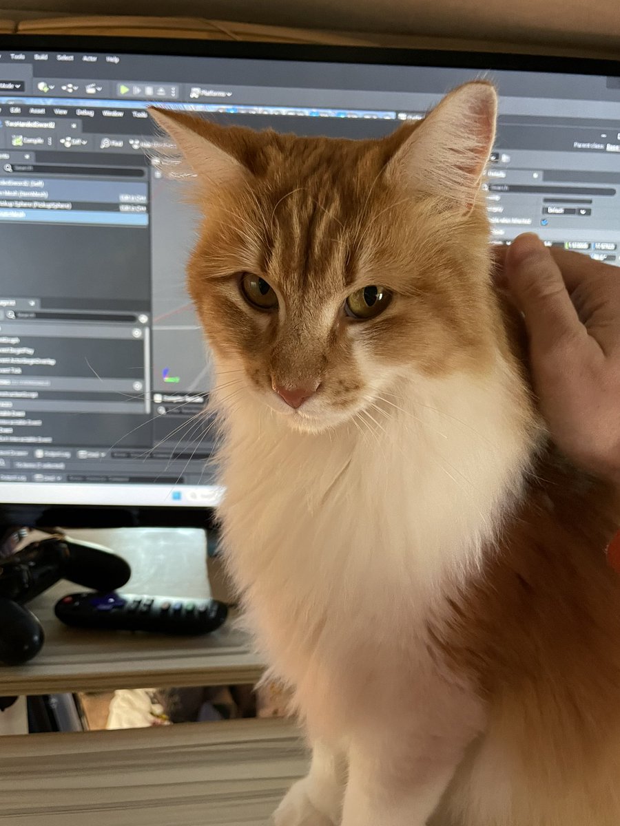 MatthewMallor14's tweet photo. My game dev assistant https://t.co/hwhsG8mIhG