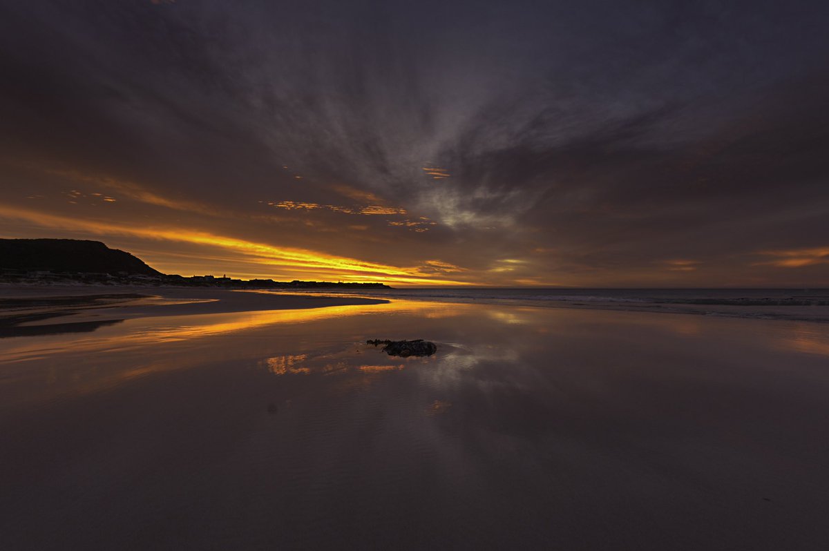 Nick Brandt tweet media
