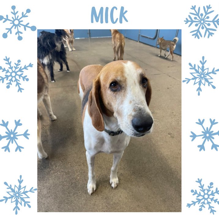 ❄️Mick❄️ #snowcute