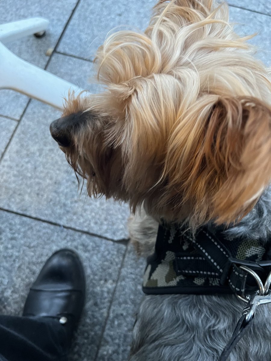 Vivienne Clarke tweet media