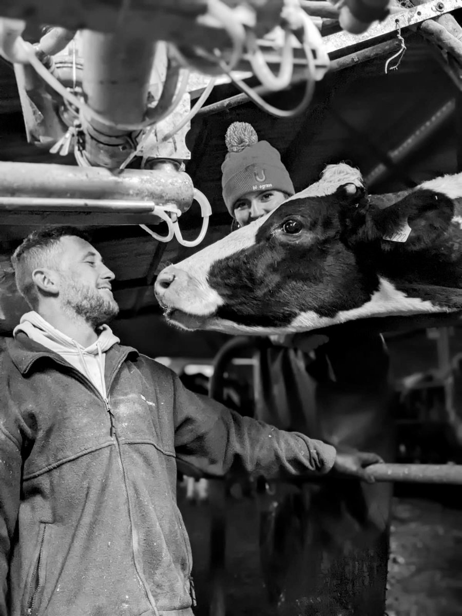 When your pet tries to steal ur fella