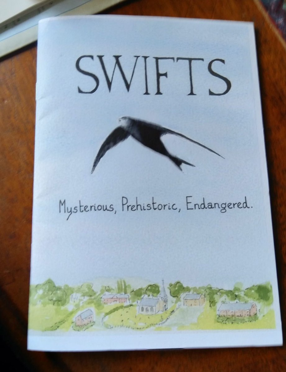 Found out through a family Xmas card that my cousin twice removed in Liverpool is a fellow #swift enthusiast and wrote this beautiful booklet! 😁
@SoSSwifts #swiftconservation