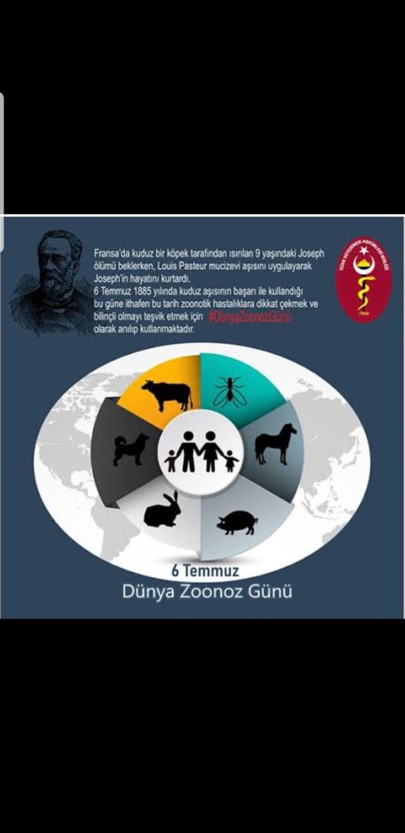 #VeterinerHekimTorbaYasaya