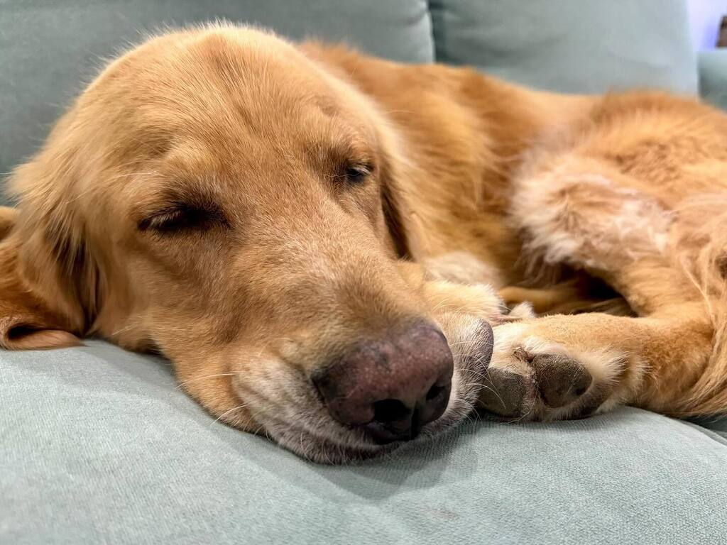 TheGoldenRatio4's tweet photo. Lip blanket for toes ✅ https://t.co/XO3TRUIBzC