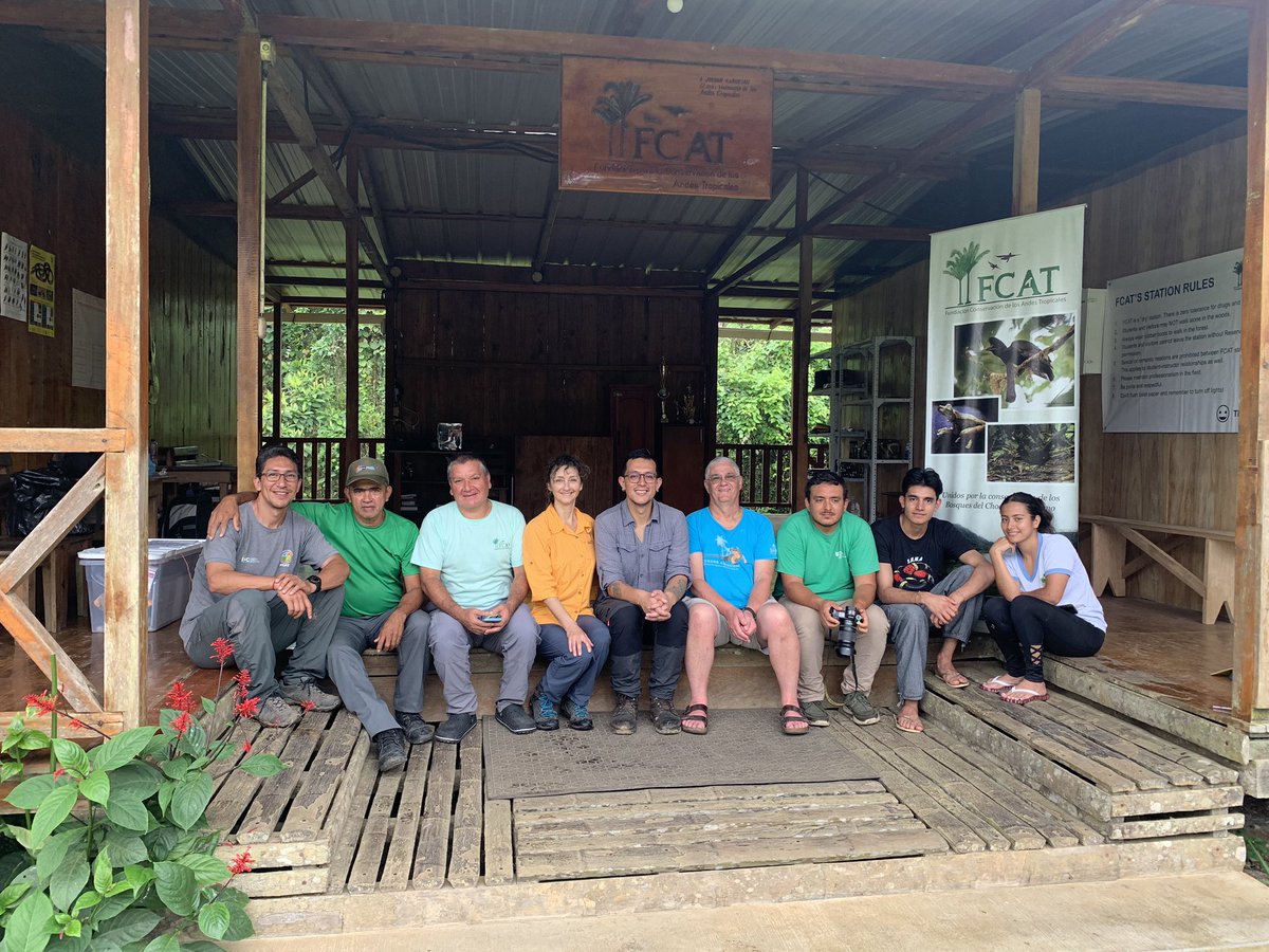 The first radio-telemetry project done in Ecuador towards the conservation of the bushmaster (Lachesis acrochorda )
Thanks to the support  <a href="/savethesnakes/">Save The Snakes</a>