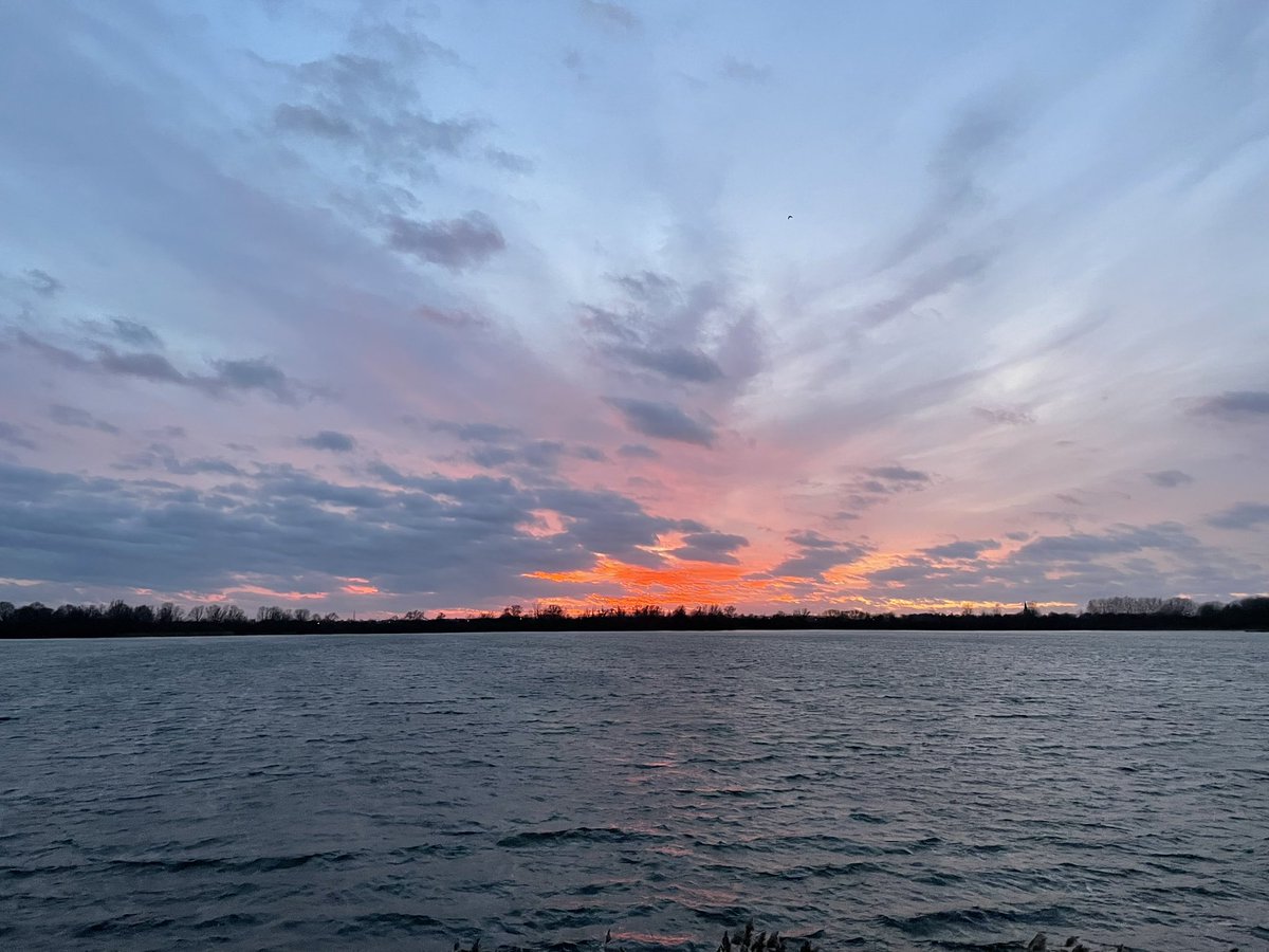 Gert de Vos (@gertdevos1) on Twitter photo 