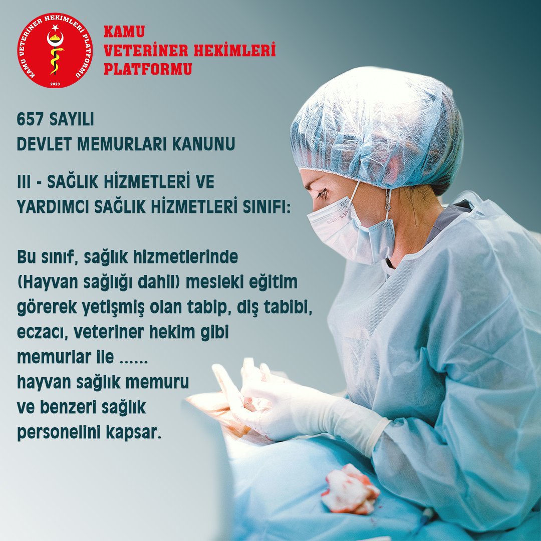 #VeterinerHekimTorbaYasaya