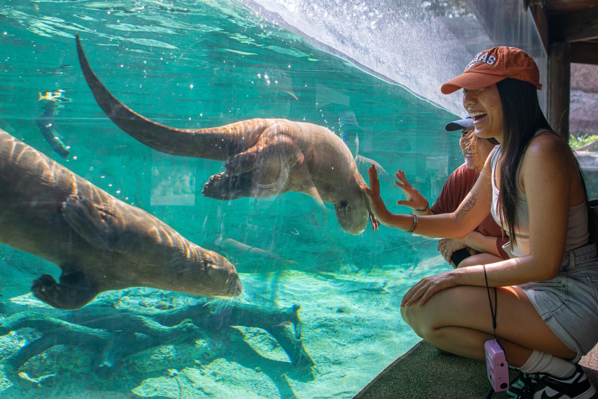 🦦 You otter come visit us! Soak up your winter break with a Zoo visit to see our giant river otters and other animal favorites before the end of the year. Plan your daytime visit: bit.ly/2ZD61t2