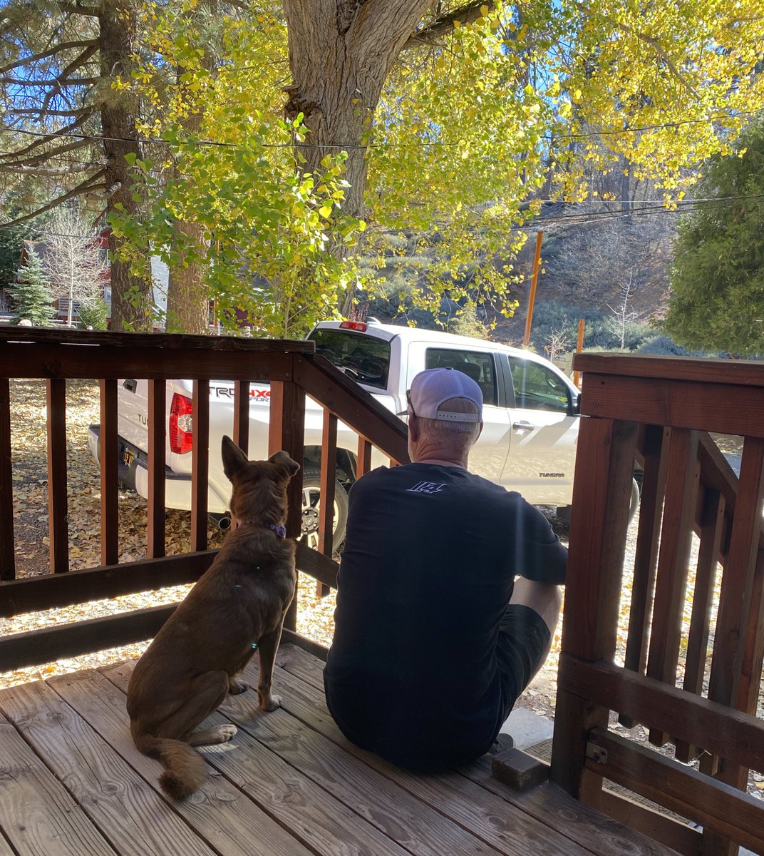 114photography's tweet image. Best damn friend I ever did have. Loved our Fam and Friends for 17 1/2 years. Miss ya Reeses Pieces 🐶 🐾 #alldogsgotoheaven