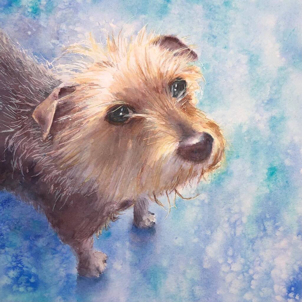 AMAsketchbook's tweet photo. Now that this painting has been gifted I can share the photo here 😊 After spending so many hours looking at pictures of this lovely little chap I feel I almost know him! 🐾  It is such an honour to be commissioned to paint someone or somewhere special, but it is even more rew… https://t.co/kbywGGHKi1