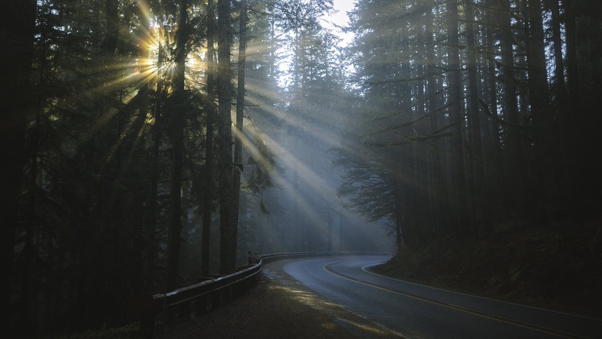 johncwingfield's tweet photo. Foggy mornings in the Northwest https://t.co/JK9LdOiGdF
