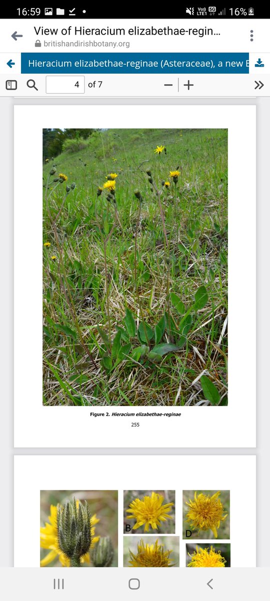 Jamie warren tweet media