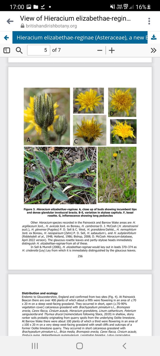 Jamie warren tweet media