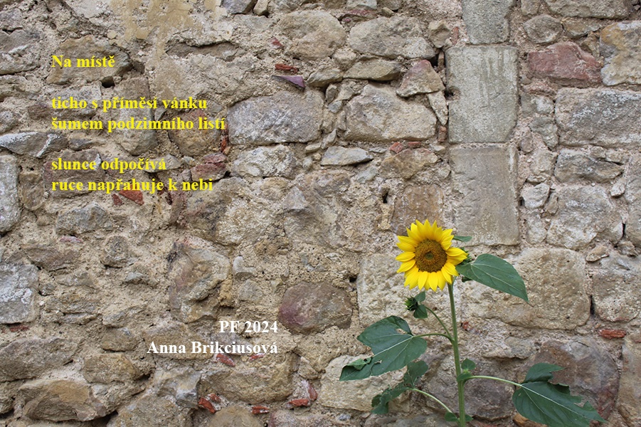 Brikciusova's tweet image. PF 2024! Šťastný nový rok 2024!
Anna @Brikciusova: Na místě

#ŠťastnýNovýRok2024 #ŠťastnýNovýRok #PF2024 #Poezie #AnnaBrikciusová #DenPoezie