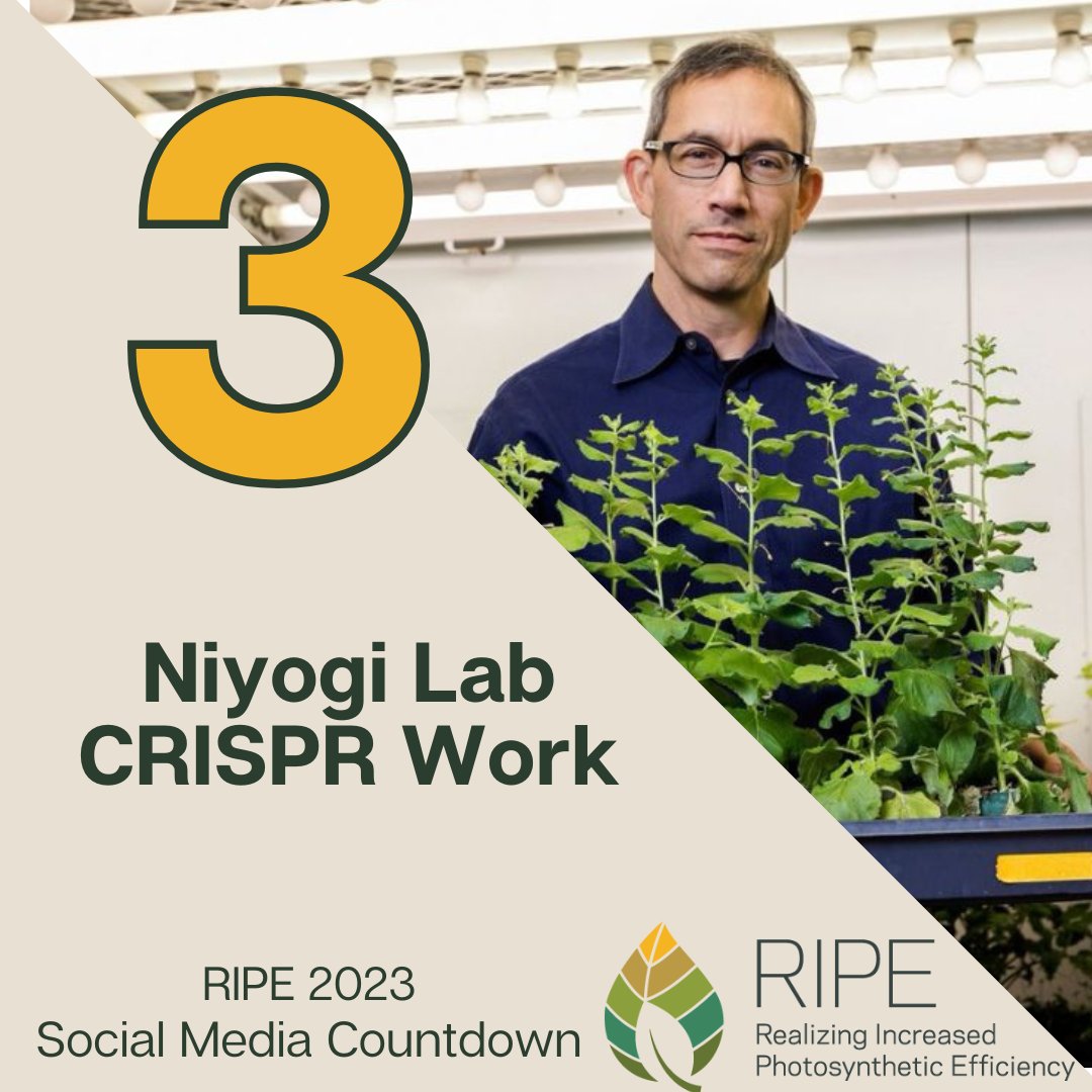 Our third most popular social media post from 2023 is an <a href="/igisci/">Institute for Geographic Information Science</a> feature on the Niyogi Lab’s CRISPR approach to improving photosynthesis to fight climate change.

Read the full story here: ow.ly/VXrF50MIpFh