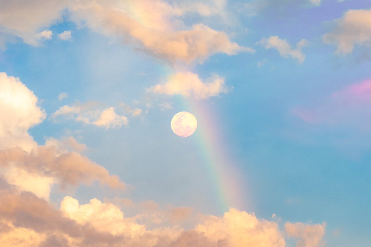 cold moon
27.12.2023.