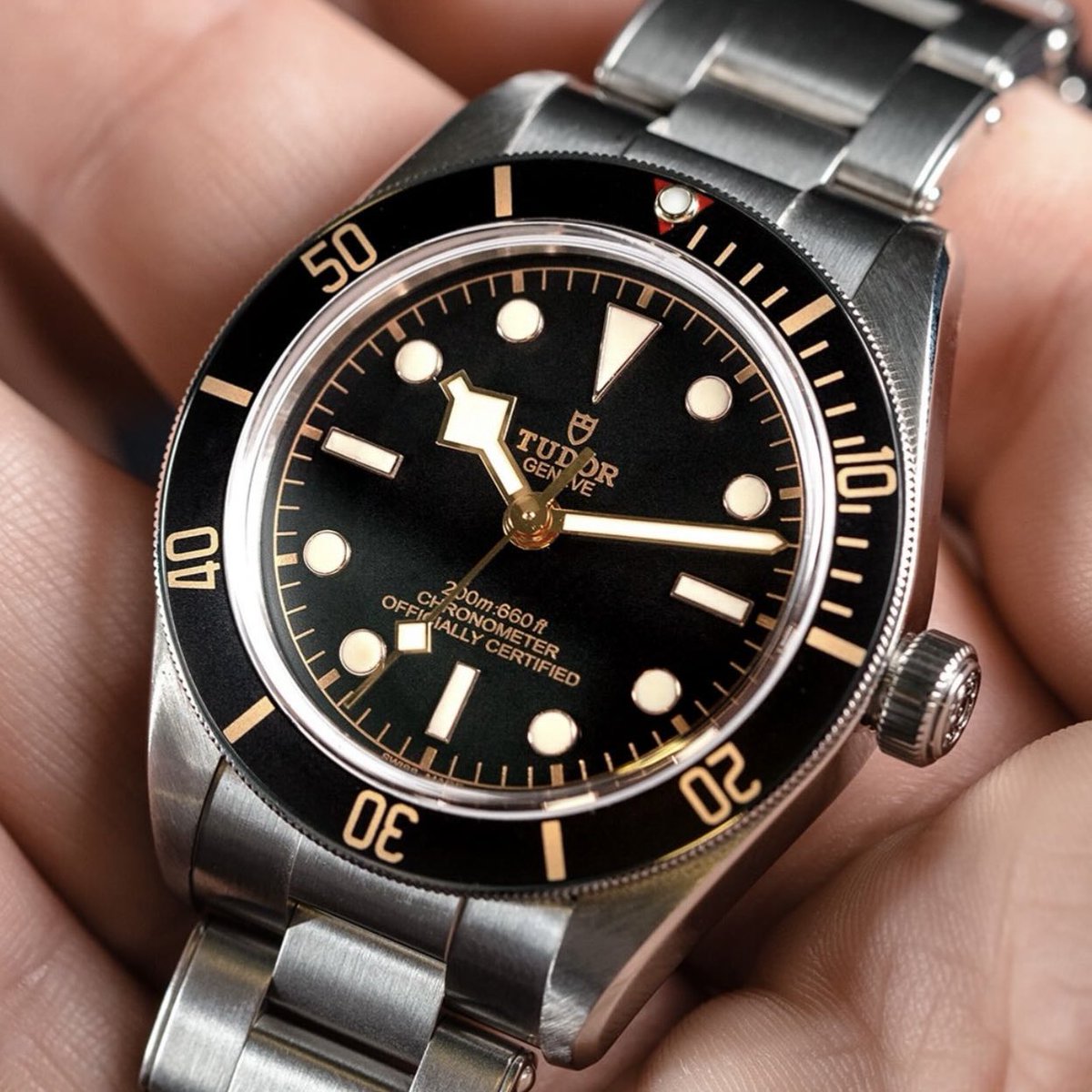 The #TudorBlackBay 58, the perfect ornament for every wrist. bit.ly/47fo07N #TudorWatch #BornToDare