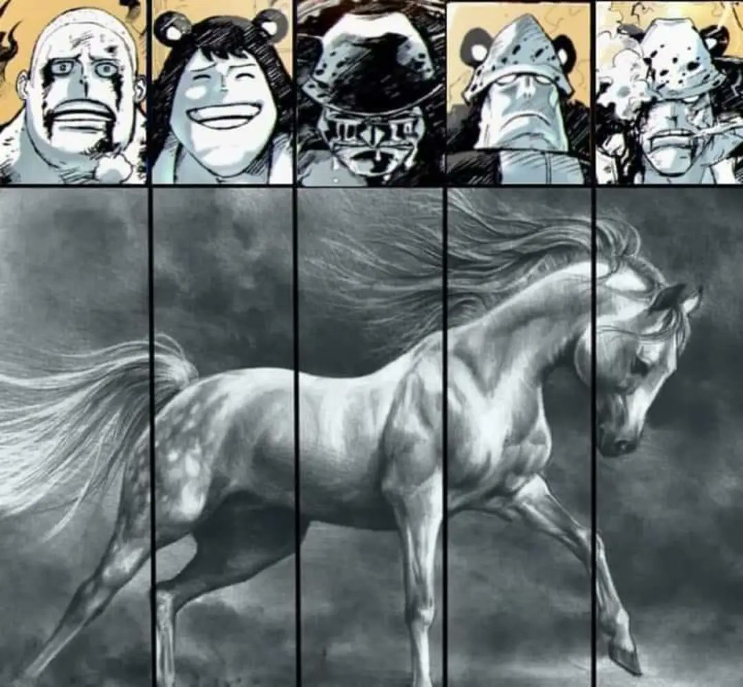 DailyOPMemes's tweet image. Anime : One Piece