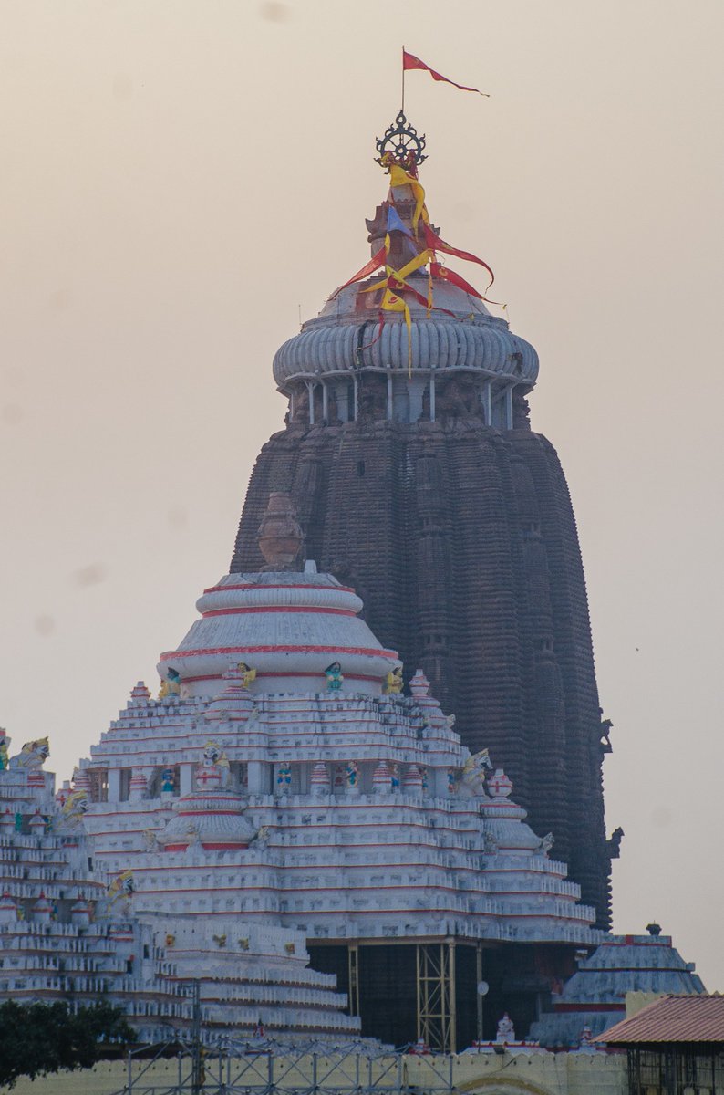 SJTA_Puri's tweet photo. ଜୟ ଜଗନ୍ନାଥ 🙏🏻🙏🏻🙏🏻

#JaiJagannatha https://t.co/E7GTts7KwF