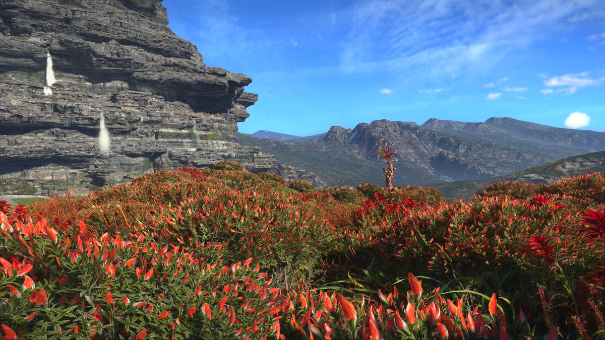 XboxVP's tweet image. More breath taking views from #AvatarFrontiersOfPandora #VirtualPhotography  #AvatarFrontiersPhotoContest @AvatarFrontiers