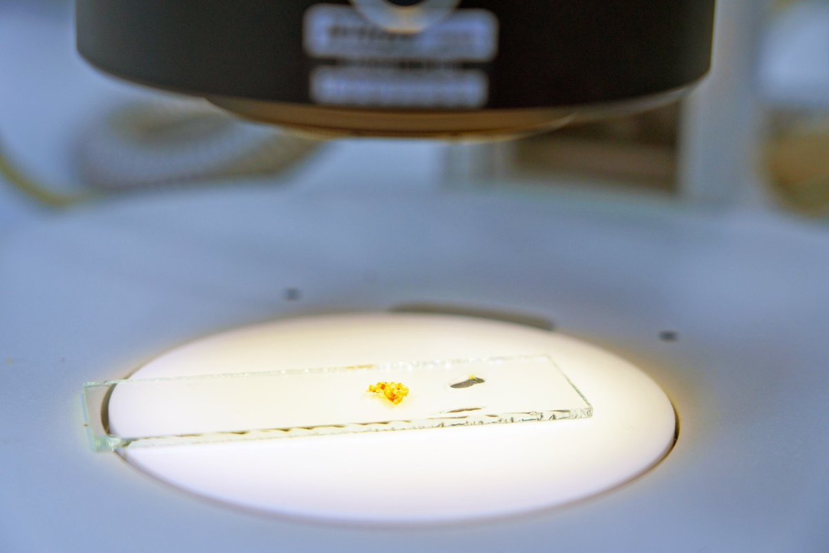 Атомная энергия 2.0 tweet media