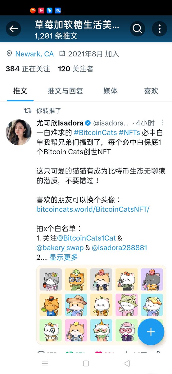 草莓加软糖生活美羊羊 tweet media