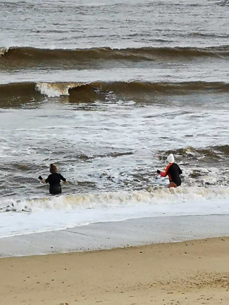 2 brave swimmers today