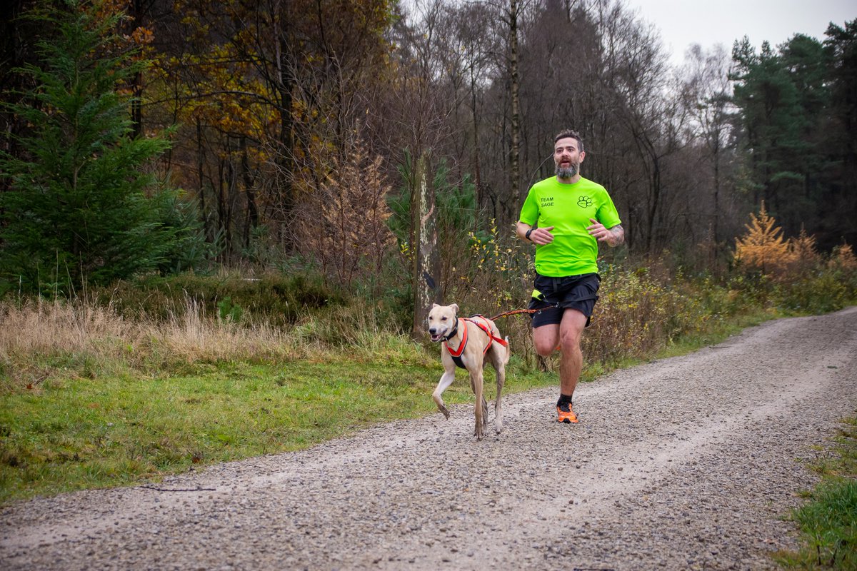NorthYorksSport's tweet photo. Paws at the ready 🐾 #Canicross is back!

📅Sunday 21st January
⏰ 8.30am
📍Dalby Forest - Forestry England
🏃 5K and 10K

Grab your tickets from our website: https://t.co/XdoH2coMnP 

#DalbyCanicross #DalbyForest #Canicross https://t.co/iVUVcmf5sD