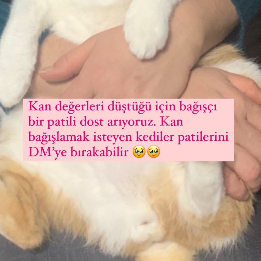 📢 Pendik, Kartal, Tuzla, Maltepe civarı.

İletişim: 05321770815-16