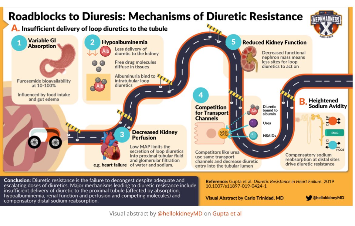 🔥You are administering diuretic but it’s not working

What causes diuretic resistance ⁉️❓

✍️Always think of non adherence -salt intake 

🫶⬇️diuretic delivery to kidney due to hypoalbuminimea 

✍️Compensatory sodium reabsorption at distal nephron-sequential blockage can help