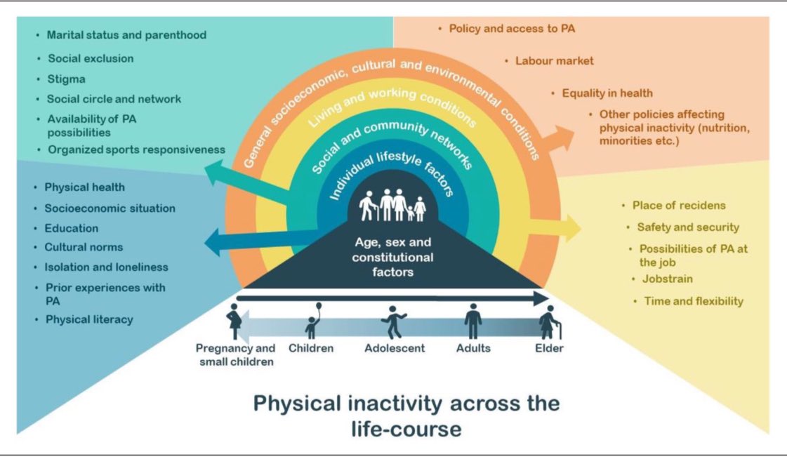 ChristopherACSM's tweet photo. Ecological model of physical inactivity across the lifespan.
https://t.co/QmtYr1fqyF
#health #exercise #exerciseismedicine #exercisephysiology #exercisephysiologist #fitness #lifestyle #prevention #chronicdisease #publichealth #framework #model #physicalinactivity https://t.co/hgGlDKNrQU
