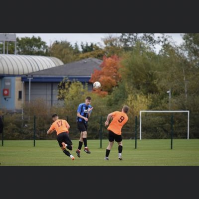 Matty Memo tweet media