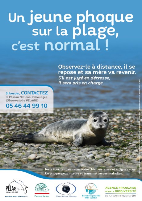Les bons gestes :
✅ On observe à distance et on attache nos chiens afin de ne pas l'effrayer.
✅ En cas de doute sur son état de santé, on contacte au plus vite le Réseau National  Echouage Observatoire Pelagis au 05 46 44 99 10.

2/2