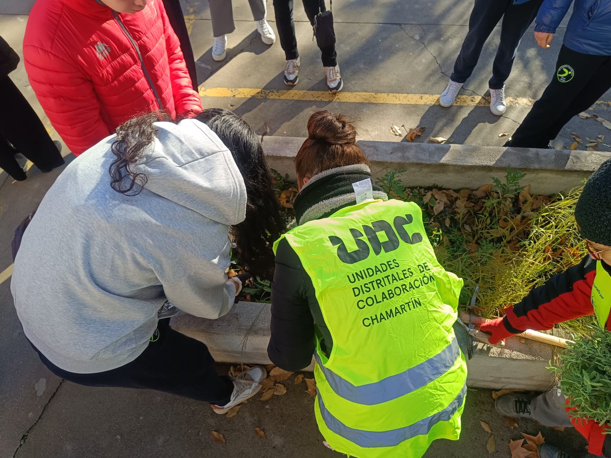 UdcChamartin's tweet photo. Instalamos el tercer #OasisDeMariposas en @DownMadrid 😍🦋🐛ahora toca esperar a que vengan y aprender a identificarlas gracias a la colaboración de @asocZERYNTHIA💚🤗@JMDChamartin  @MADRID  @AsocElOlivar https://t.co/0gYGrD4qSO