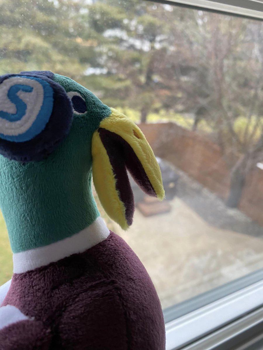 streamyardapp's tweet photo. That awkward last week of December where Puddles isnβt sure what day or time it is! π€ But at least Puddles is cozy and getting recharged π for an amazing 2024 ahead! π¦
#relaxationtime #noseriouslywhatdayisit #howmanycookiesistoomanycookies #notgettingoutofbed #ishouldprobablyworkout