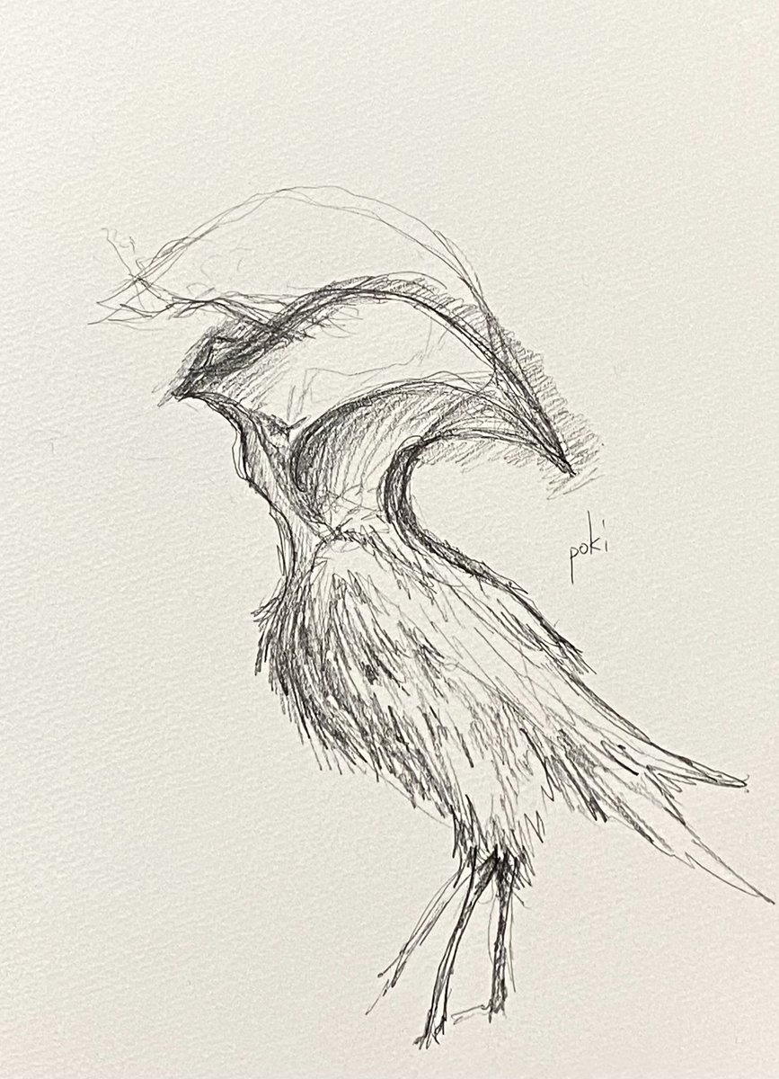 今晩の落書き 