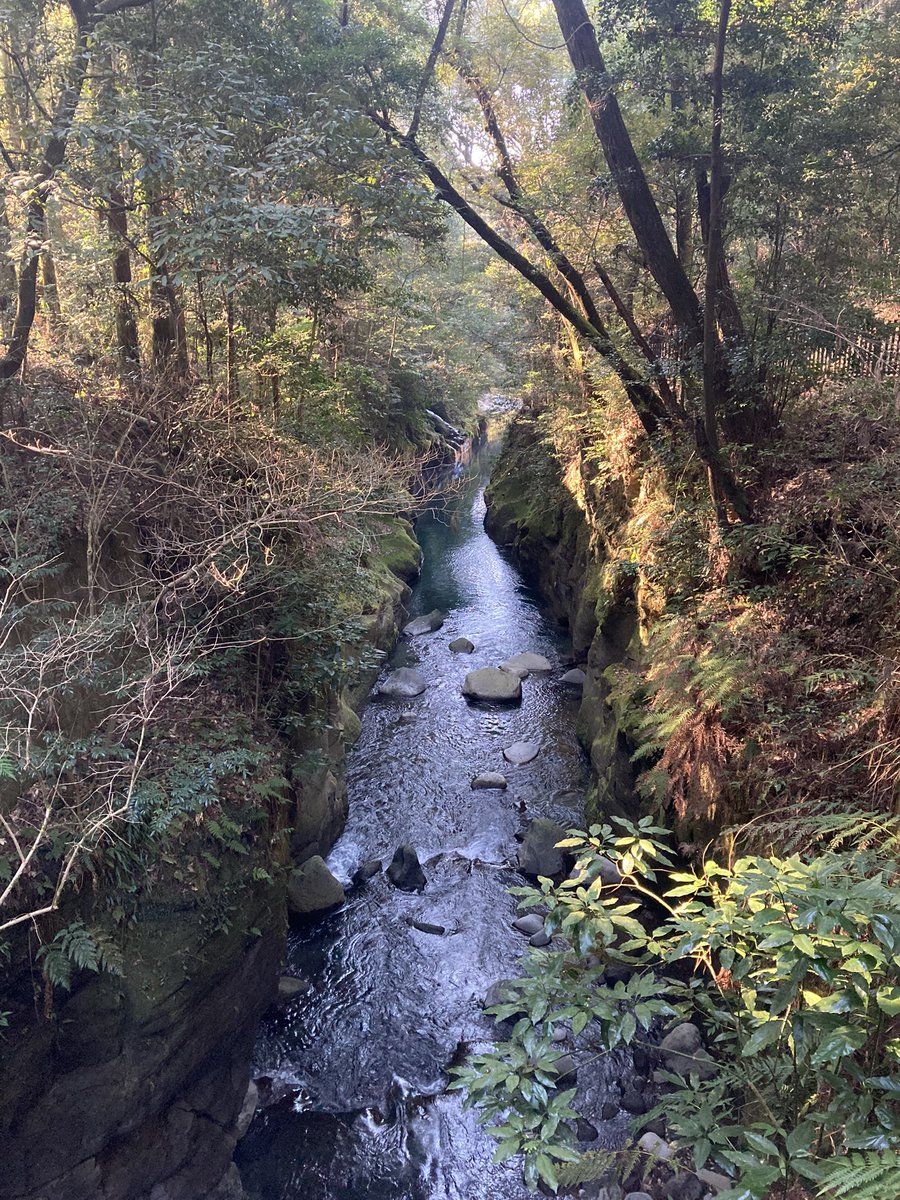 Phil ಠ_ಠ tweet media