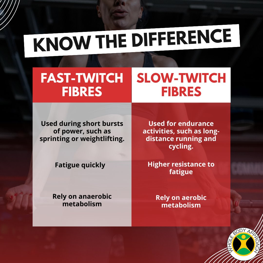 WBA2k10's tweet image. Unlock your body&apos;s untapped potential with a deep dive into muscle science! 💪

#MuscleScience #ExerciseOptimization #FitnessJourney #WorkoutWisdom #StrengthTraining #HIIT #Endurance #FitnessGoals #MuscleFiberTypes #MaximizeGains #OptimalPerformance #FitnessRevolution