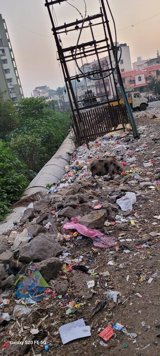 <a href="/sbmugujarat/">Swachh Bharat Mission Urban - Gujarat</a> <a href="/swachhgujarat/">स्वच्छ गुजरात</a> @swachhgujaratofficial <a href="/sbmugujarat/">Swachh Bharat Mission Urban - Gujarat</a> 
<a href="/co_valsadnp/">Valsad Municipality</a> <a href="/collectorvalsad/">Collector Valsad</a> 
Sir/mam,
Pls take concrete  actions to make #Valsad clean.
People littering everywhere, no one is there to punish.
The Municipality/Panchayata also not doig duty properly.