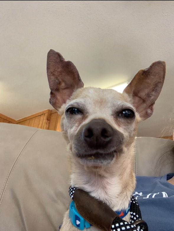 Randy Grim tweet media