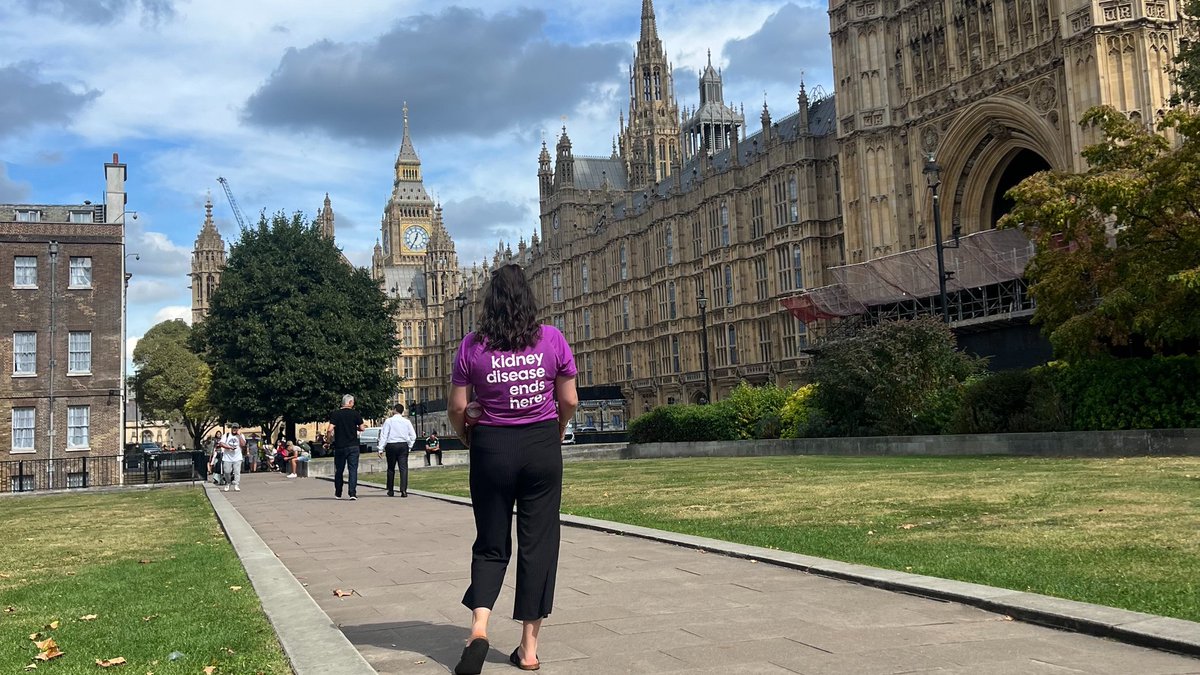 Kidney_Research's tweet photo. We know awareness of #KidneyDisease is low amongst policy makers and we are working hard to address this. Let’s look back on some of our work this year to make CKD a priority for the government and NHS (1/7) https://t.co/DTOJ1TD2Ps